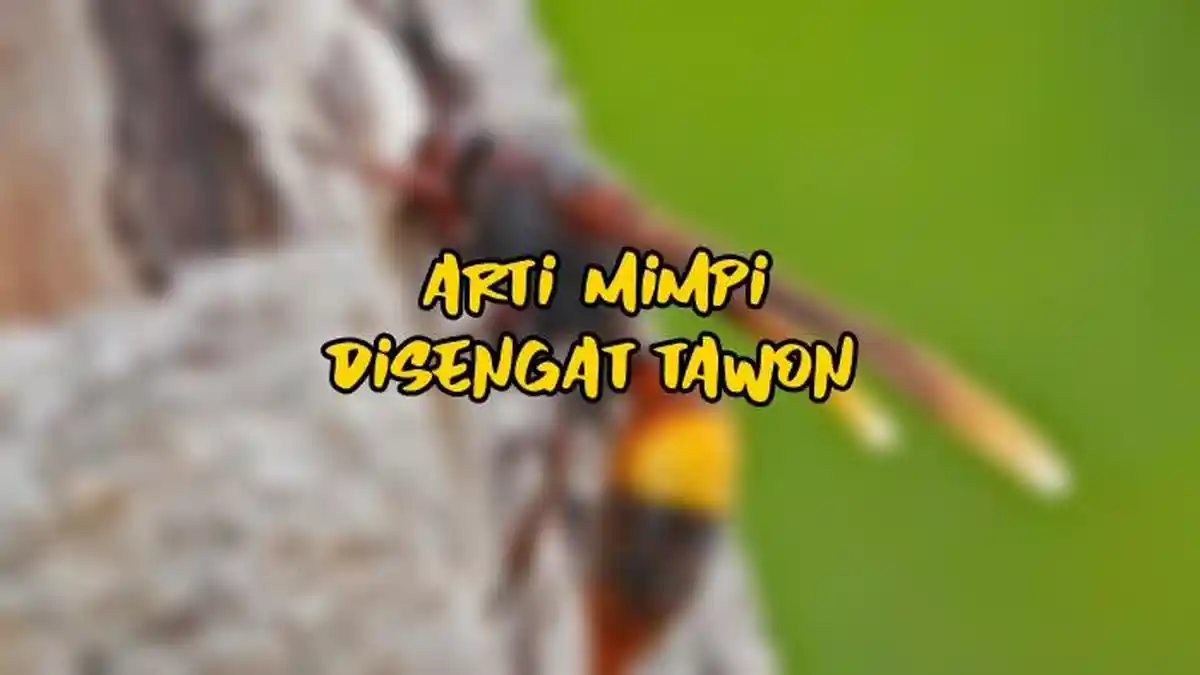 Arti Mimpi Disengat Tawon, Pertanda si Pemimpi Harus Hati-hati, Ini Tafsir Lengkapnya