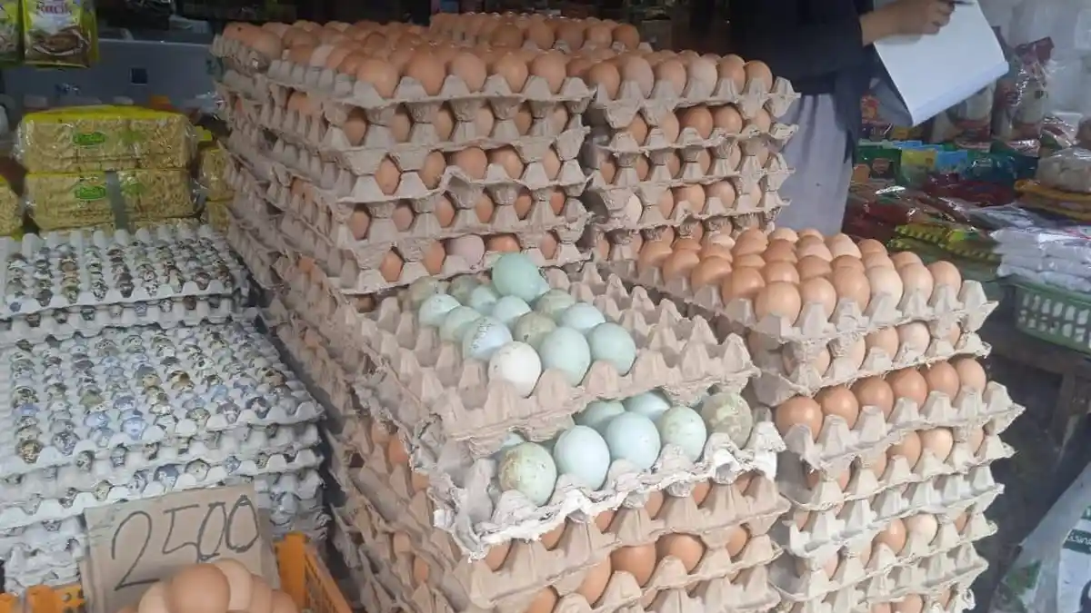 Harga Telur Ayam di Gowa Naik Capai Rp60 Ribu Per Rak