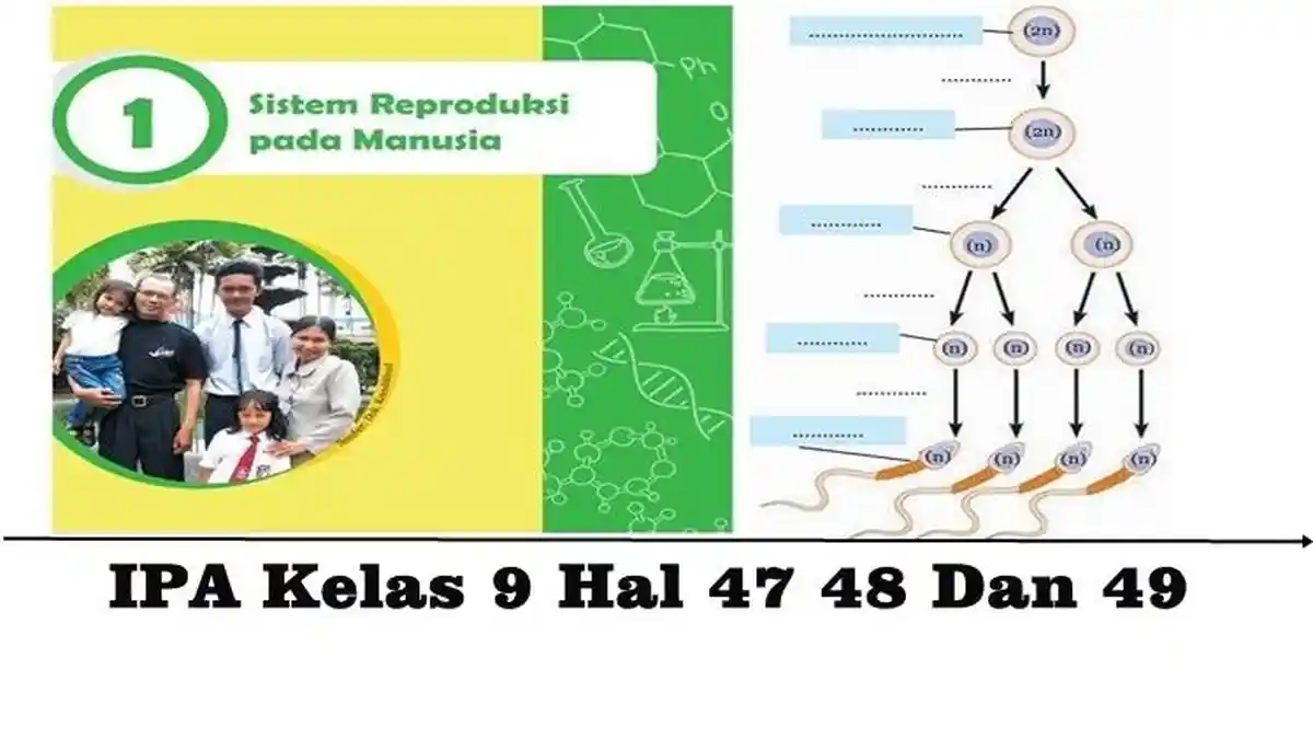 Kunci Jawaban IPA Kelas 9 Halaman 47, 48, 49, Uji Kompetensi 1 Kurikulum 2013.