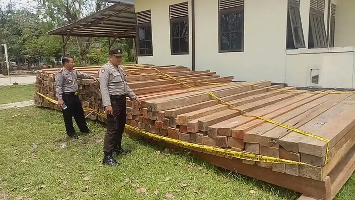 300 Batang Kayu Tidak Bertuan Ditemukan di Atas Bukit
