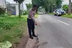 Kecelakaan Maut di Jember, Scoopy Belok Mendadak Sebabkan Tabrakan dengan Motor Viar, Satu Tewas