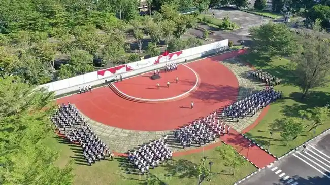 Tribun
