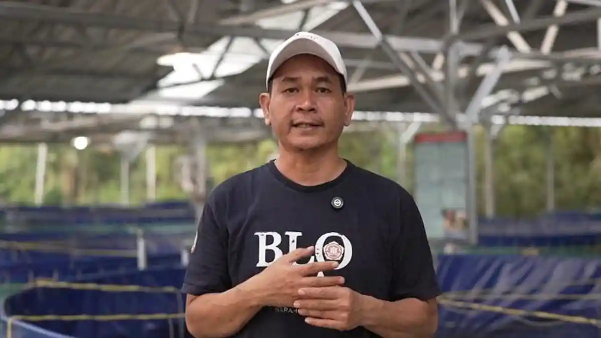 Program MBG Dorong Rantai Pasok Lokal, Budidaya Ikan Lele Jadi Tulang Punggung