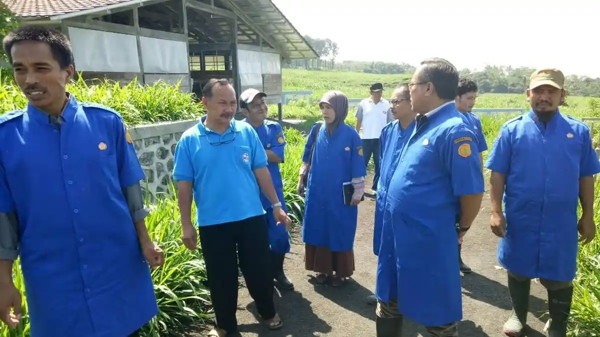 Baznas Enrekang Belajar Ternak Kambing di Jawa Tengah, Ini Tujuannya