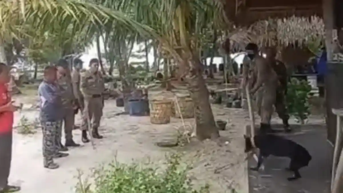 Viral Petugas Satpol PP Tangkap Anjing Berujung Tewas, Pecinta Hewan Kecam Hingga Somasi Pelaku