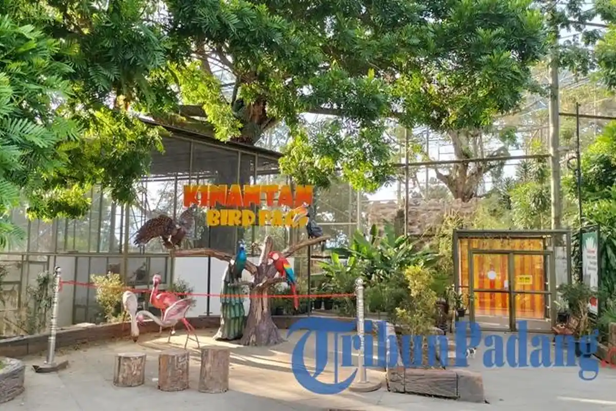 3 Objek Wisata di Bukittinggi Berdekatan, Cocok Dikunjungi saat Libur Lebaran, Ada yang Gratis