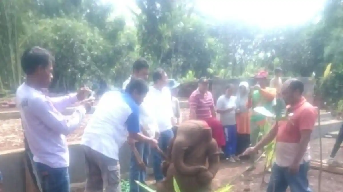 BPCB Jateng Selamatkan Arca Ganesha Candiroto