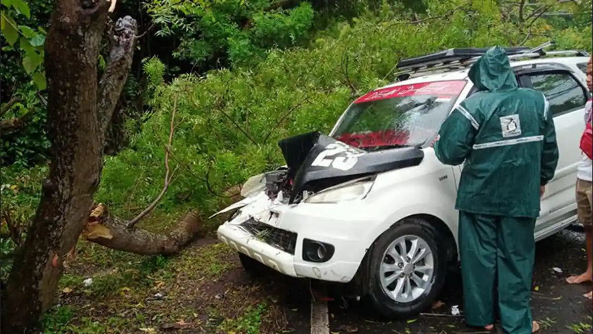 Sopir Mengantuk, Mobil Terios Tabrak Pohon Perindang di Gilimanuk Jembrana