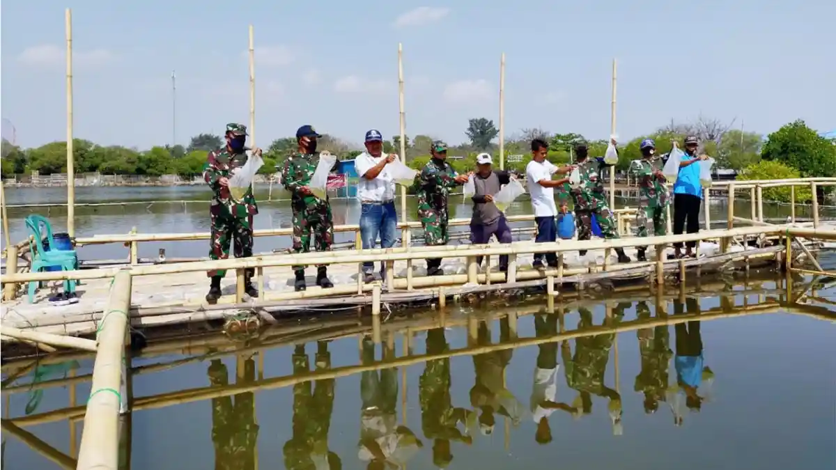 Dansatrol Lantamal III Tebar 5.000 Benih Bandeng untuk Ketahanan Pangan