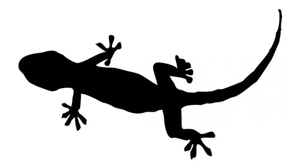 Arti Mimpi Cicak, Membunuh Cicak Tanda Pengkhianatan, Namun Mimpi Makan Cicak justru Pertanda Baik