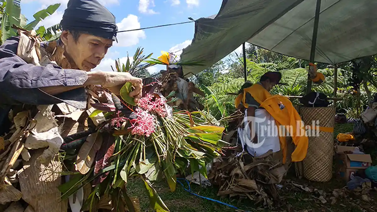 Menari Pakai Kain Kafan Mayat, Baris Memedi Antar Roh Leluhur ke Nirwana