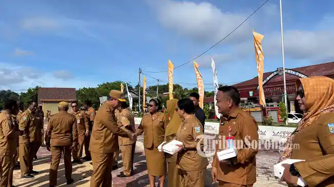 Tribun