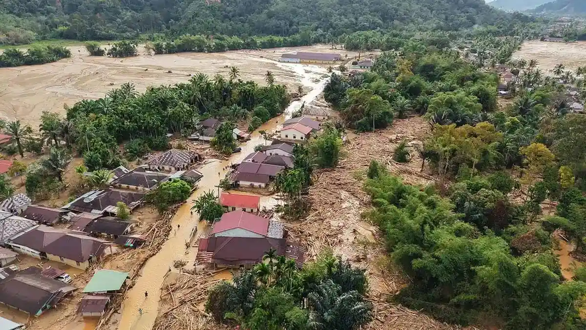 Pemerintah Telusuri Asal Gelondongan Kayu di Banjir Sumatra, Ini Kata  Ikatan Mahasiswa Muhammadiyah - TribunNews.com