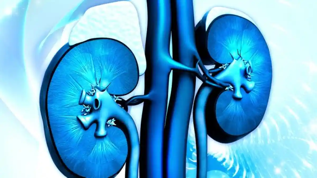 Tips Sehat bagi Penderita Sakit Ginjal yang Ingin Tetap Berpuasa