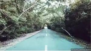 Jalan-trans-Amarasi-yang-melintasi-kawasan-Tahura-Prof-Ir-Herman-Johannes-1.jpg