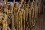 Bazar d Dewa Rucci