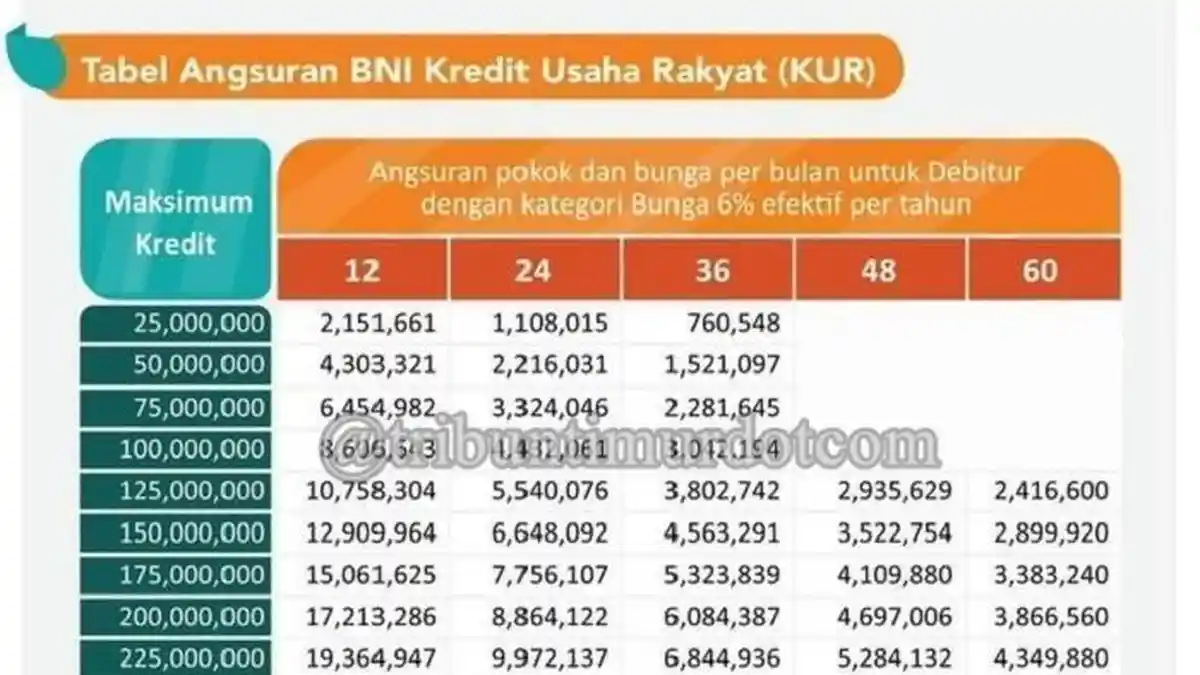 Mau Ajukan KUR BNI? Cek Syarat, Plafon, dan Cara Pengajuannya di Sini