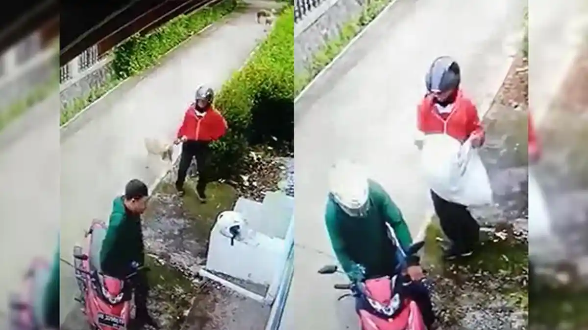 Fakta-fakta Viral Video Maling Kambing Dimasukan Karung yang Tertangkap CCTV Warga
