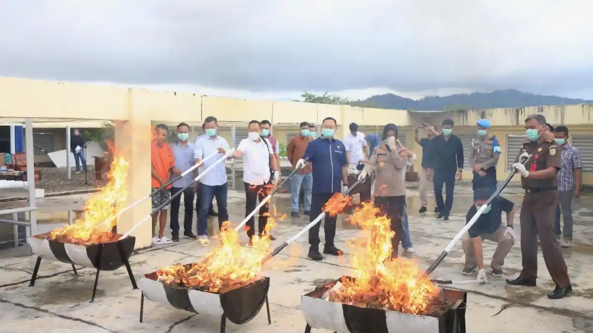Polda Sumbar Musnahkan 15,9 Kilogram Ganja dengan Cara Dibakar