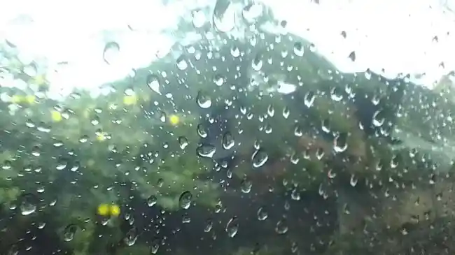 Prakiraan Cuaca Jayapura Papua Hari Ini Senin 24 November 2025: Hujan sejak Pagi