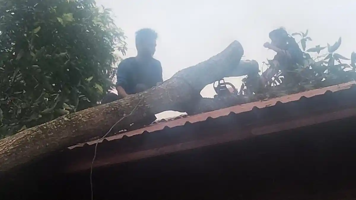 Angin Kencang, Atap Rumah Warga di Aceh Besar Tertimpa Pohon