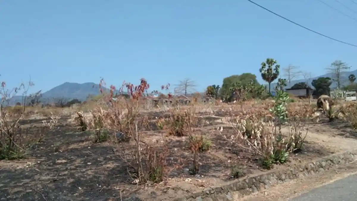 Garap Developer, Kopdit Obor Mas Jawabi Perumahan Anggota