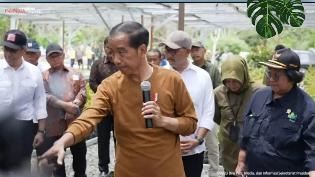 Presiden Jokowi ke Mentawir, Pamer Pohon Langka Asli Kaltim Sungkai, Dikembangkan di IKN Nusantara
