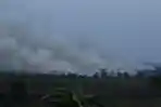 Asap Kebakaran Lahan Hutan di Kalimantan