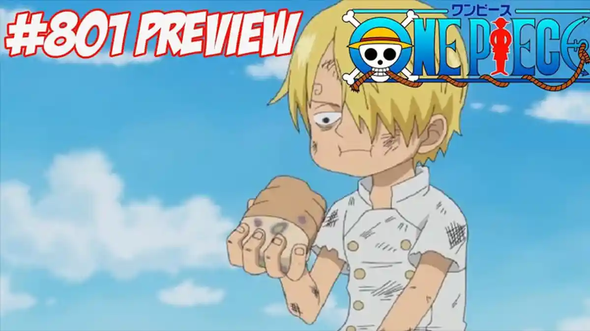 One Piece Episode 801 - Bikin Haru, Masa Kecil Sanji yang Menyedihkan dan Pengorbanan Owner Zeff
