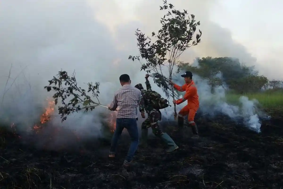 Jelang Asian Games Jangan Ada Lagi yang Buka Lahan, Pemicu Terjadinya Karhutla