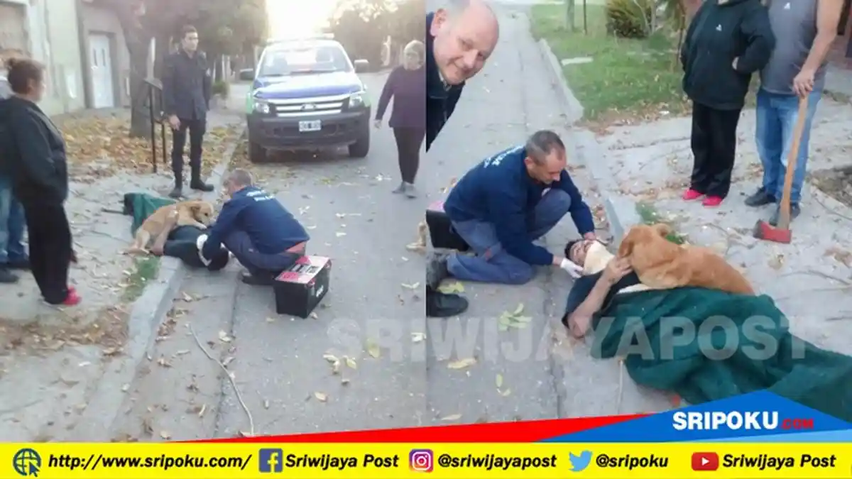 Ada Anjing Terus Peluk Pasien yang lagi Ditolong, Mau Diusir Semua Terdiam Saat Tahu yang Sebenarnya