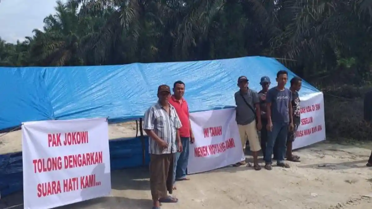 Istana Minta Panglima TNI dan Kapolri Lindungi Petani Sawit Gondai