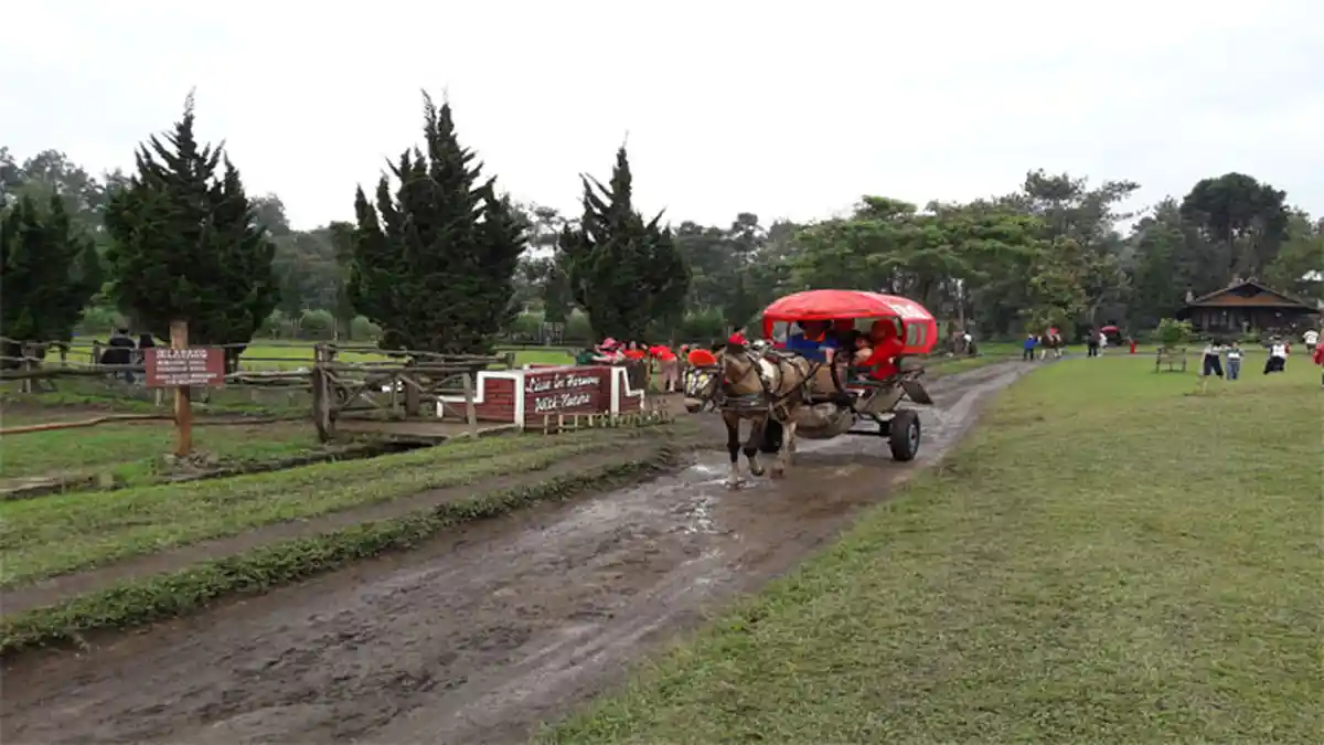 Inilah 4 Destinasi Wisata Populer yang Wajib Dikunjungi di Kawasan Lembang