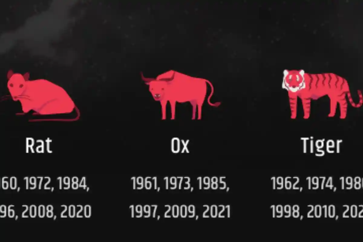 Ramalan Shio Tikus, Kerbau, dan Macan Minggu 27 Juli 2025: Horoskop Cinta hingga Keuangan