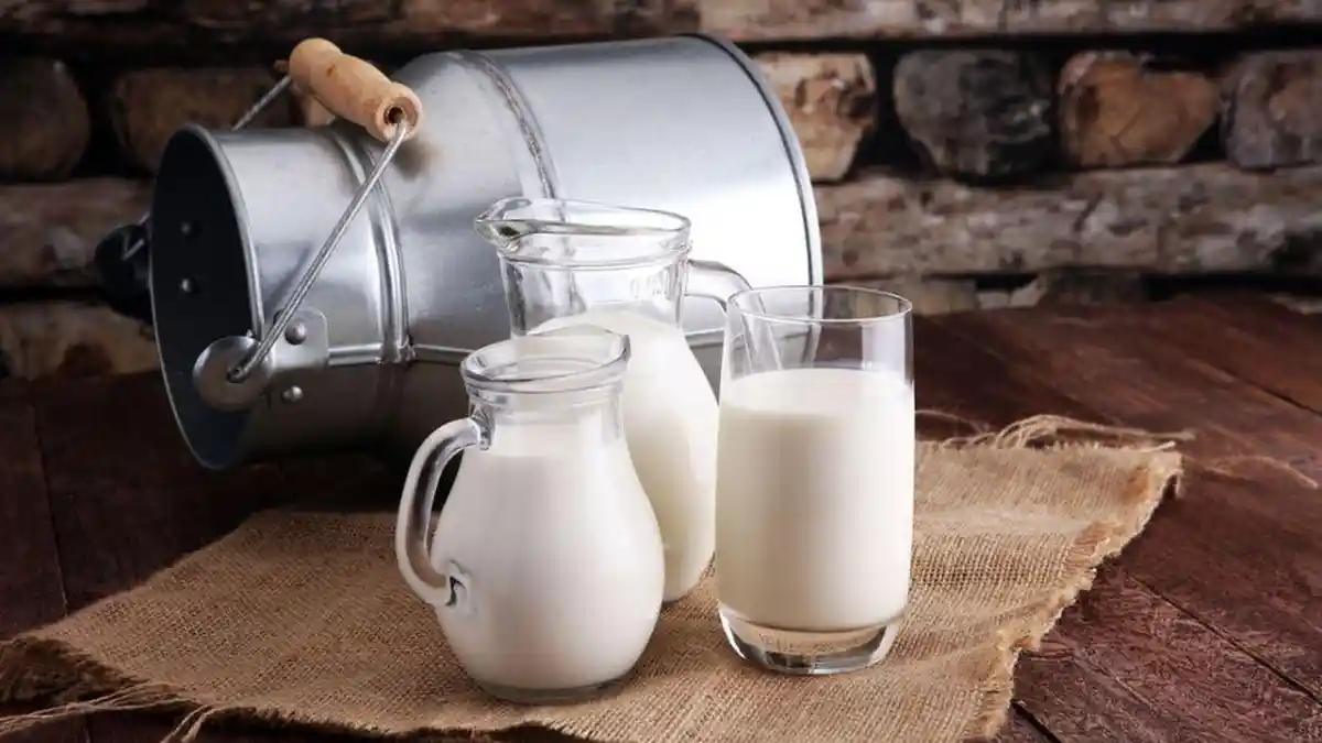Ultrajaya Sokong Makan Bergizi Gratis, Kucurkan Rp1,14 T Perkuat Produksi Susu Berbasis Robotik