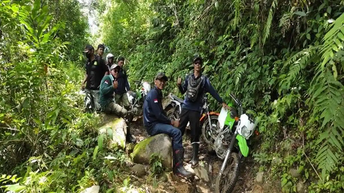 KPH X Dempo Pagar Alam Selusuri Kabar Tambang Emas di Hutan Lindung