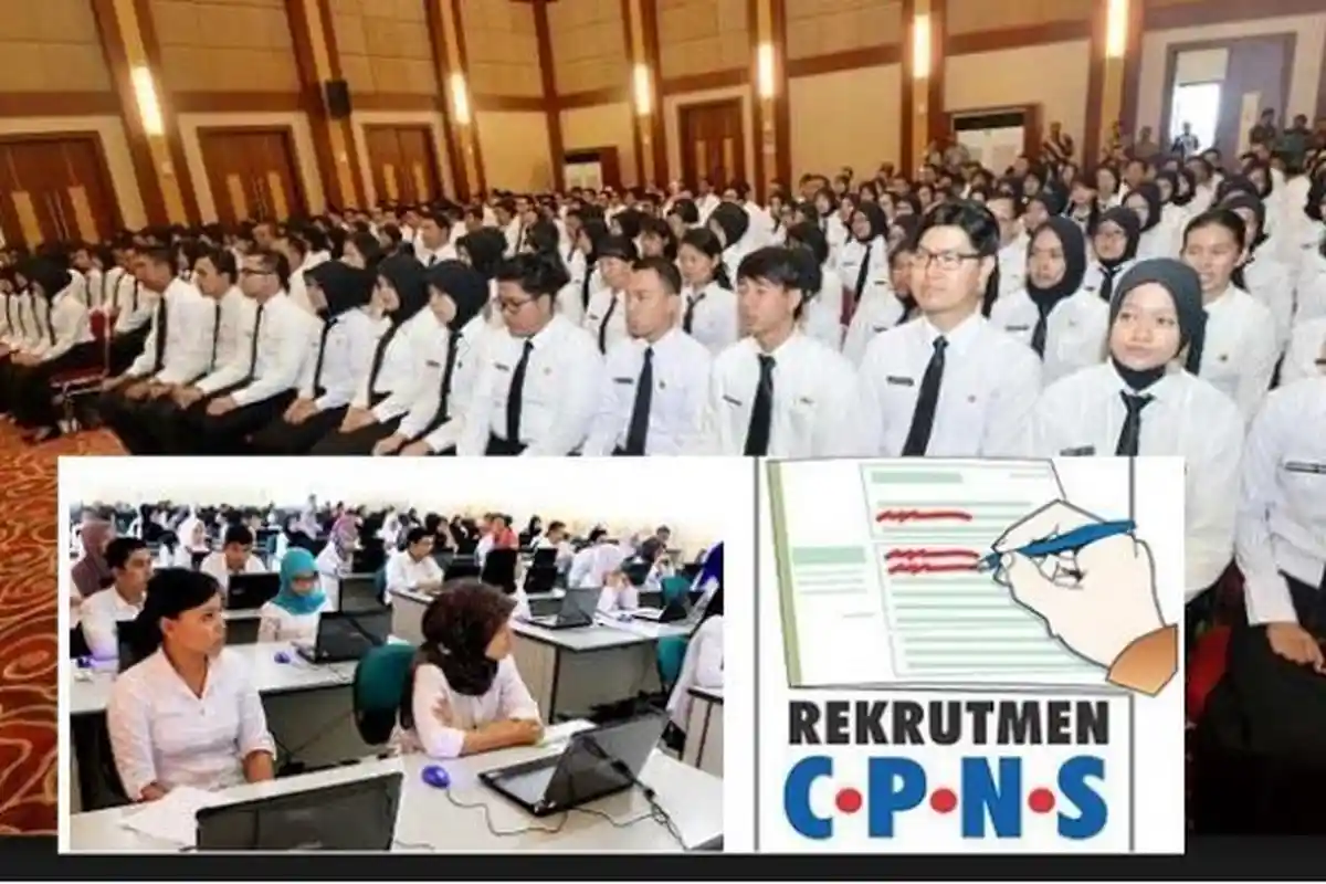 Ini Daftar Formasi CPNS di Sulsel dan Sulbar: Wajo 309 Orang, Sinjai 250, Jeneponto Butuh 3 Dokter