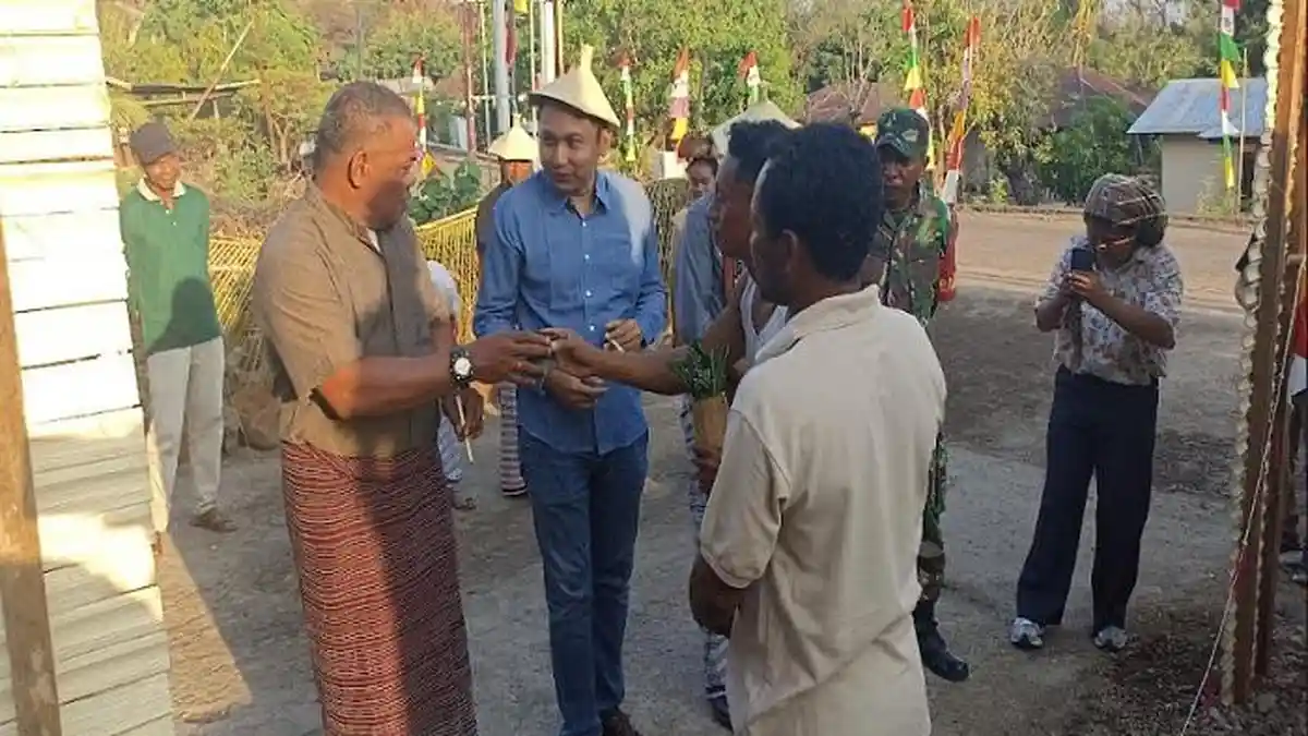 Festival Tani Tenane: Melihat Pangan Lokal Orang Lamalera yang ...