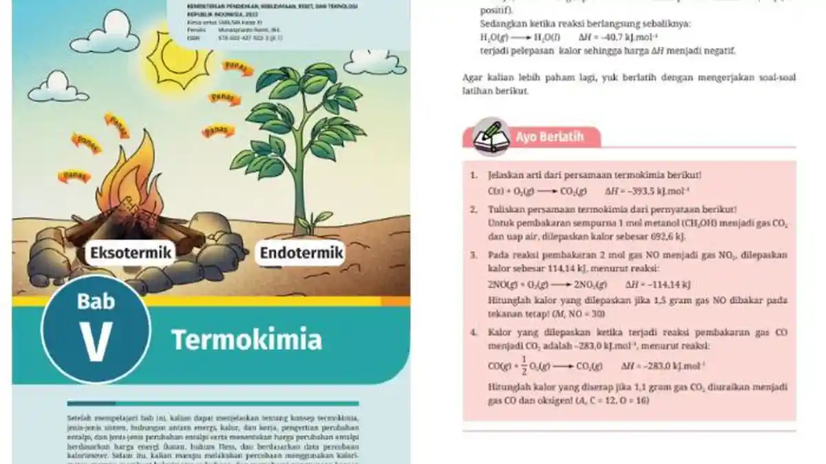 Kunci Jawaban Kimia Kelas 11 Halaman 135 Kurikulum Merdeka Bab 5: Ayo Berlatih
