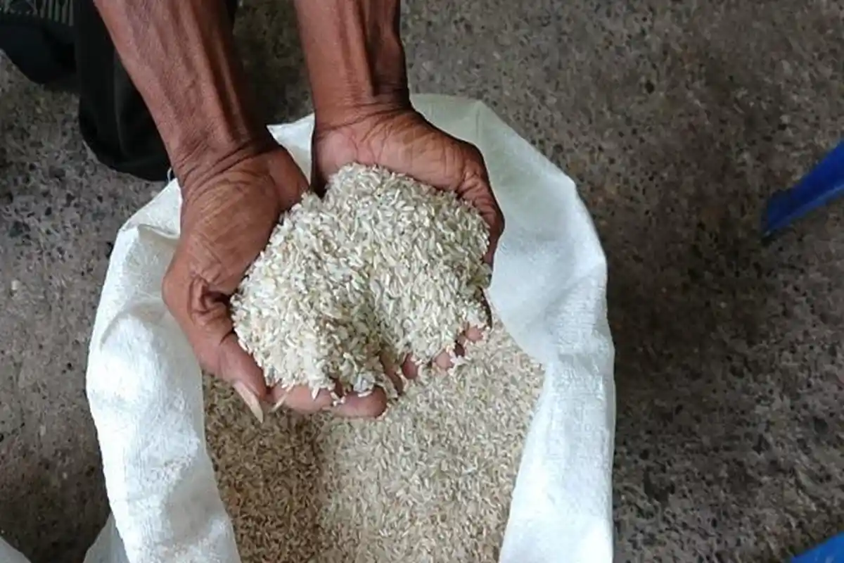 Beras Bansos DID Tak Layak Konsumsi di Sumba NTT, Dinsos Ultimatum Suplayer, APH Bergerak Pulbaket