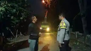 Lnasia-tewas-tersengat-tawon-di-Sanden-Bantul.jpg