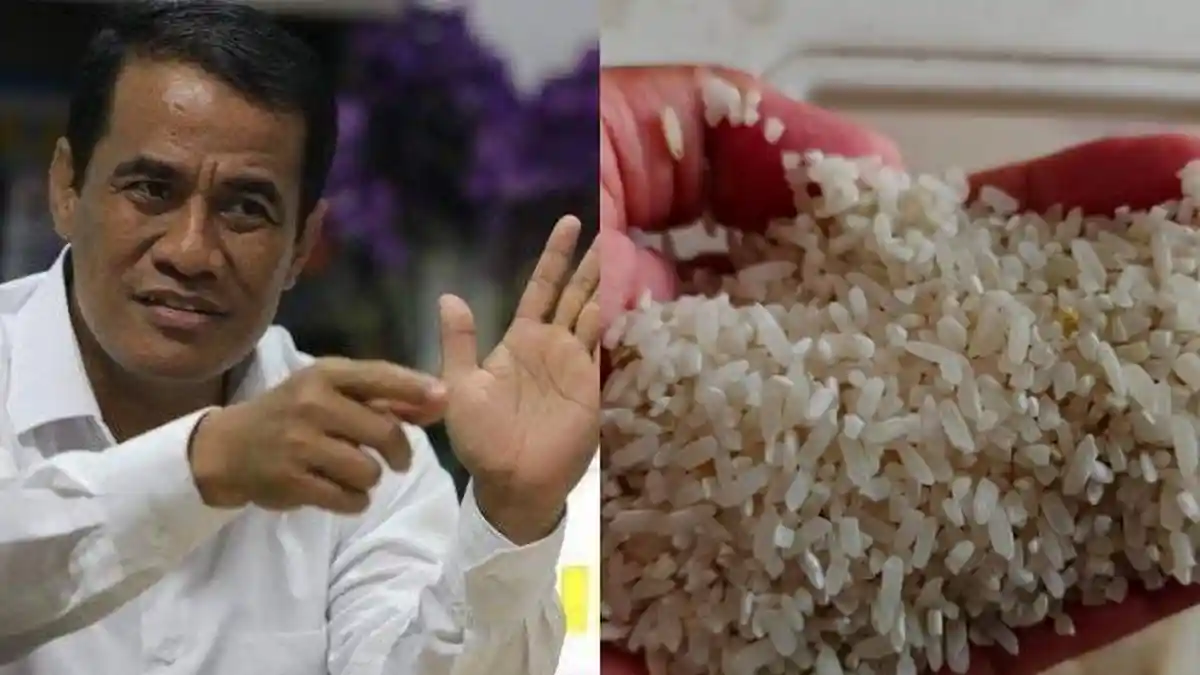 Merek Beras yang Diduga Dioplos, Ada Fortune hingga Sania, Cara Cek Beras Oplosan Secara Kasat Mata