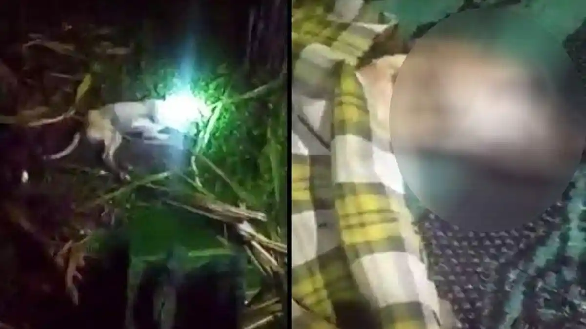 Viral Seorang Pelajar SMP Disebut Berubah Menjadi Seekor Anjing, Hingga Dikuburkan Hidup-hidup