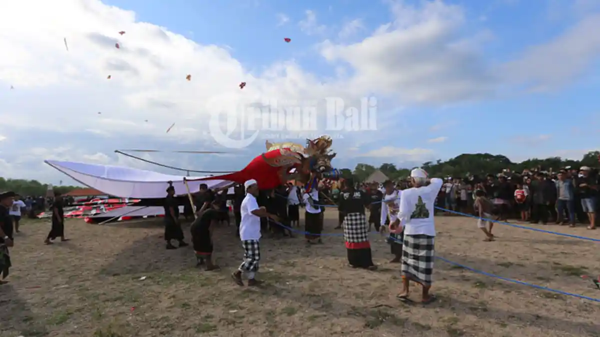 Nagaraja Pecahkan Rekor Muri sebagai Layangan Terbesar dan Terpanjang