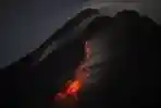 Kepulan Asap dan Guguran Material Batu Pijar Gunung Merapi