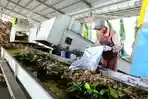 Pengelolaan Sampah Menjadi Perhatian Pemerintah Kabupaten Kudus 2026