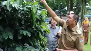 Terima-Audiensi-Eksportir-asal-Australia-Ludi-Oliansyah-Ingin-TIngkat-Kopi-Pagar-Alam-Agar-Mendunia.jpg