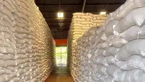 FotoHumas-Bulog-Aceh-Penampakan-stok-beras-di-Gudang-Bulog-Aceh-yang-berada-di-Aceh-Besar.jpg