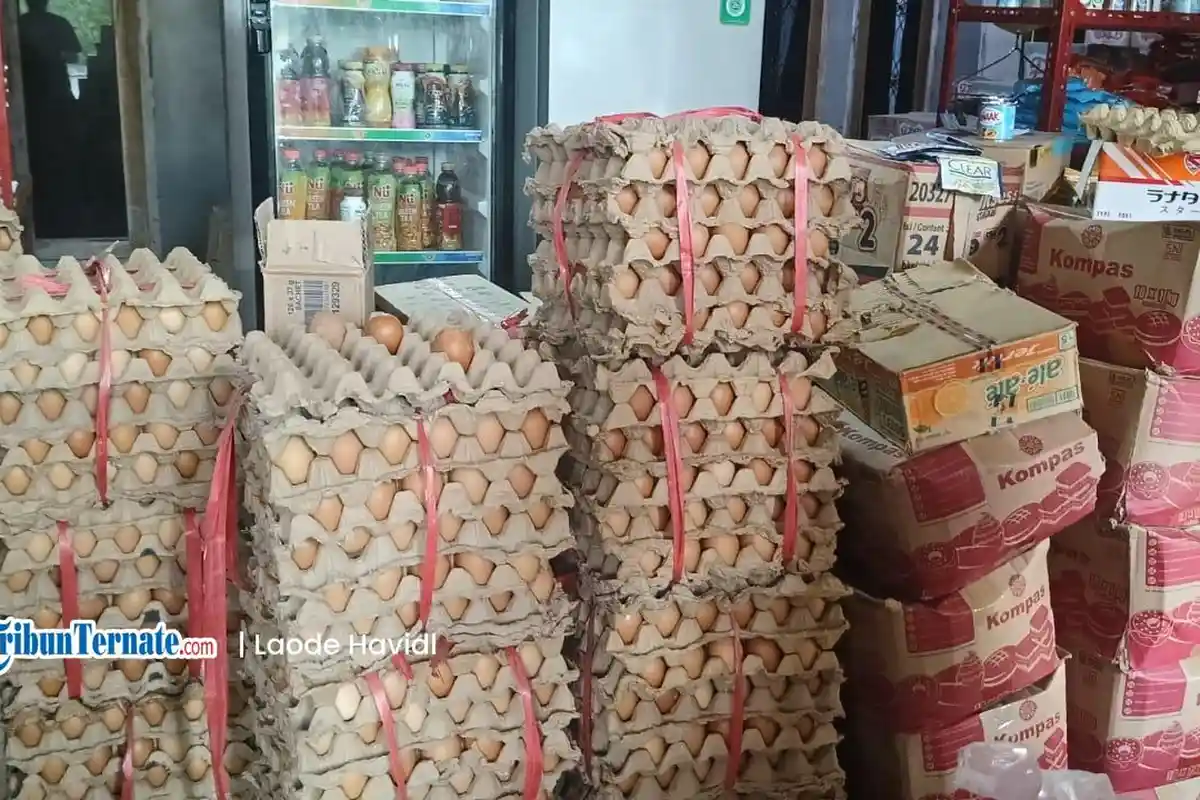 Hari Ini Telur Ayam di Taliabu Alami Kenaikan Harga, Sentuh Rp 65 Ribu per Rak