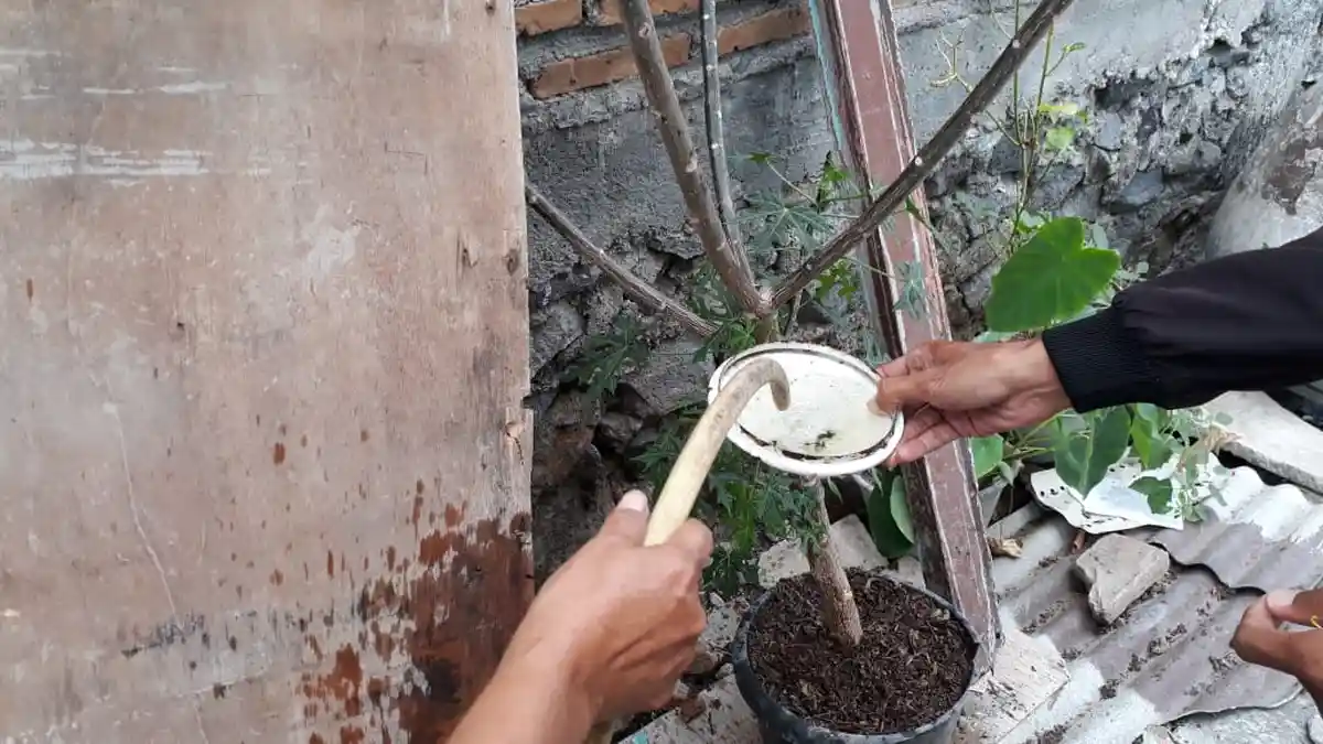 PDAM Solo Masih Teliti Air Bercacing di Pucangsawit